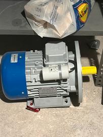 Motore elettrico