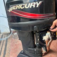 Motore mercury 25cv
