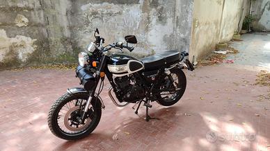 moto MASH seventy five 2016