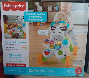 Zebra primi passi