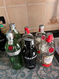Bottiglie in vetro vuote Gin