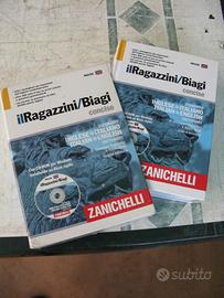 dizionario italiani-inglese