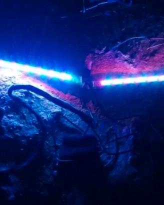 kit led tuning multicolor con centralina Phonocar