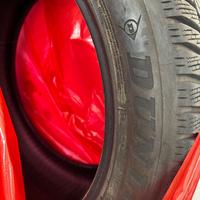 Pneumatici invernali Dunlop 255/45R19