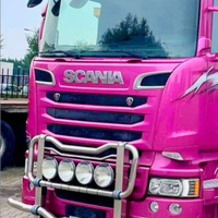 Bull bar scania serie R