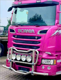 Bull bar scania serie R