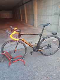 Giant Tcr tg.m/l