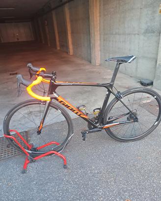 Giant Tcr tg.m/l