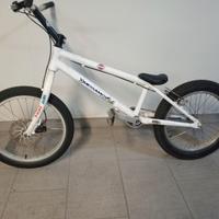Bici da trial