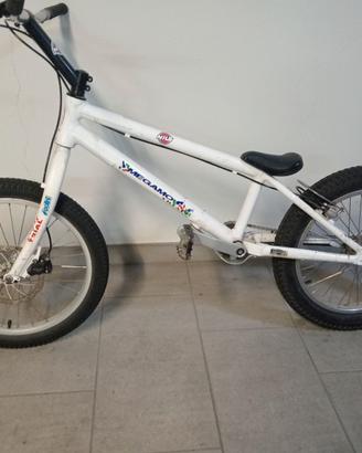 Bici da trial