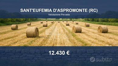 Immobile in asta di 22100 m² a Sant'Eufemia d'Aspr