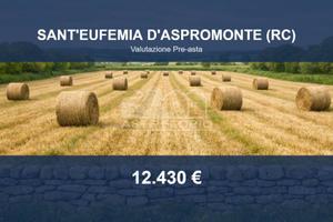 Immobile in asta di 22100 m² a Sant'Eufemia d'Aspr