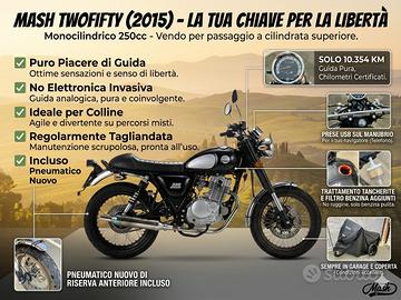 Mash Twofifty 250 (2015)