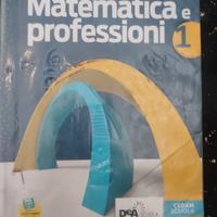 libro matematica e professioni. 