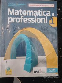 libro matematica e professioni. 