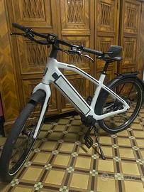 Bici elettrica