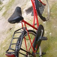 bici da donna magnum 