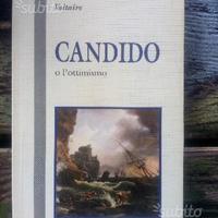 Candido o l'ottimismo