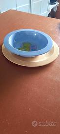 Set pappa Tupperware