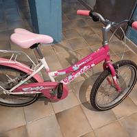 bici da 20