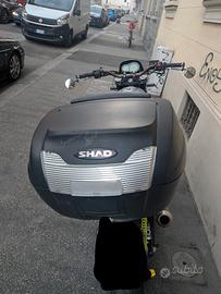  Kit Shad SH40 + Shad Top Master Benelli Leoncino