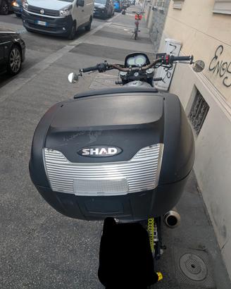  Kit Shad SH40 + Shad Top Master Benelli Leoncino