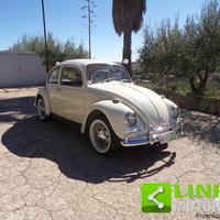 VOLKSWAGEN Maggiolino standard
