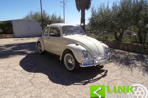 VOLKSWAGEN Maggiolino standard