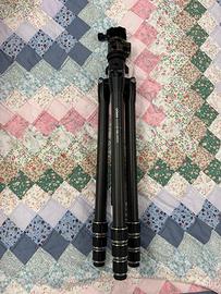 TRIPODE DORR CARBON