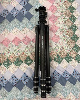 TRIPODE DORR CARBON