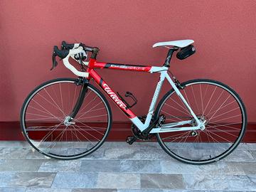 Wilier Escape  Triestina Amadeus