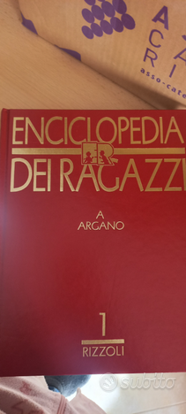 Enciclopedia dei ragazzi rizzoli 15 volumi usato  Modena