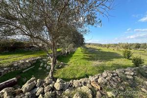 Terreno Militello in val di Catania