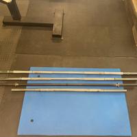 bilanchieri palestra da 28 e 25 mm e dischi