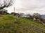 Immagine 28