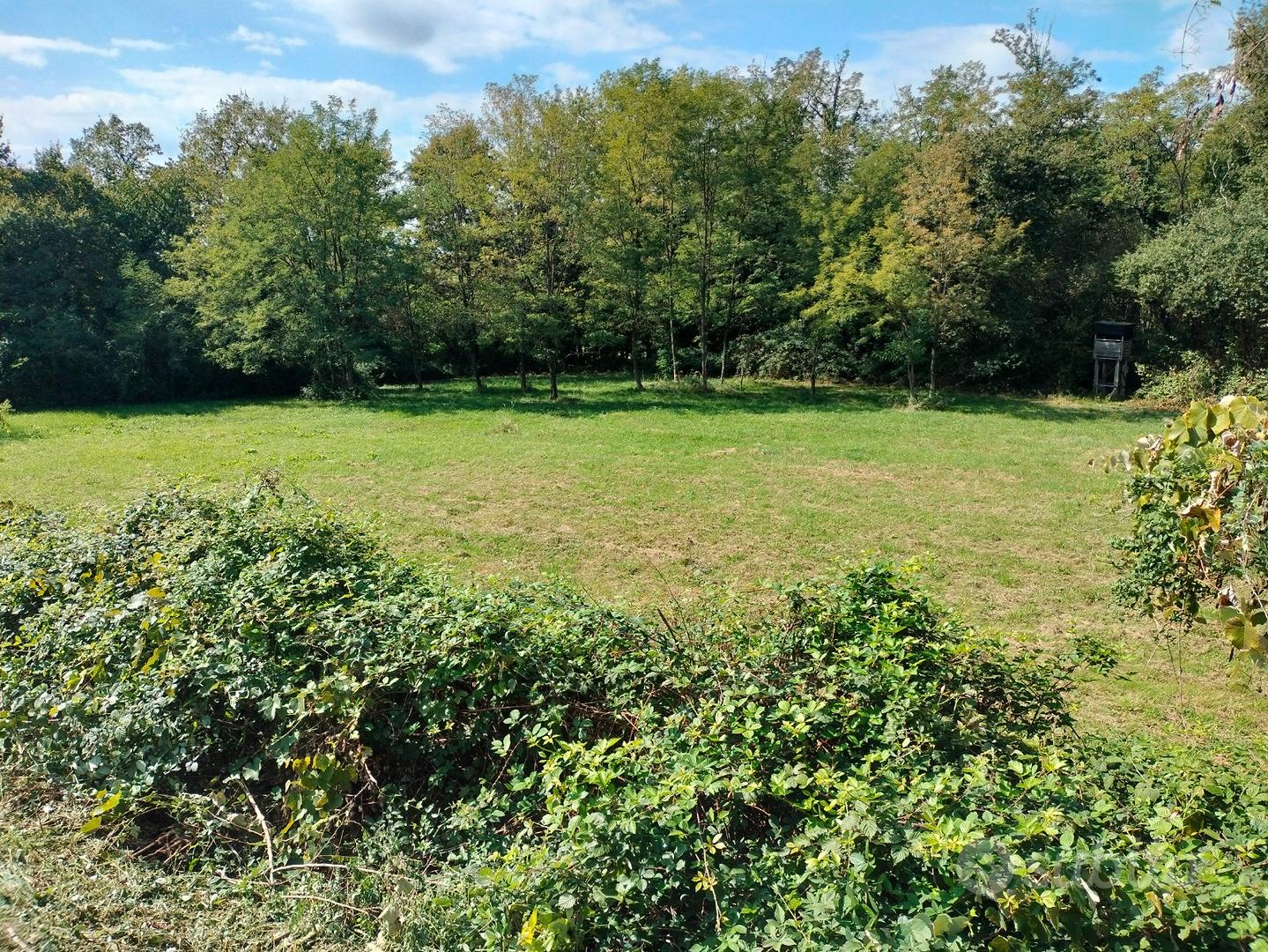 Terreno in San Lorenzo Isontino (Go) - Vista 5