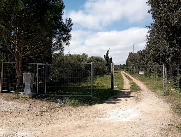 Vendita terreno agricolo