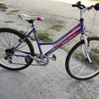 Mountain bike donna/ragazza 