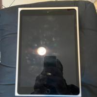 Apple iPad 7