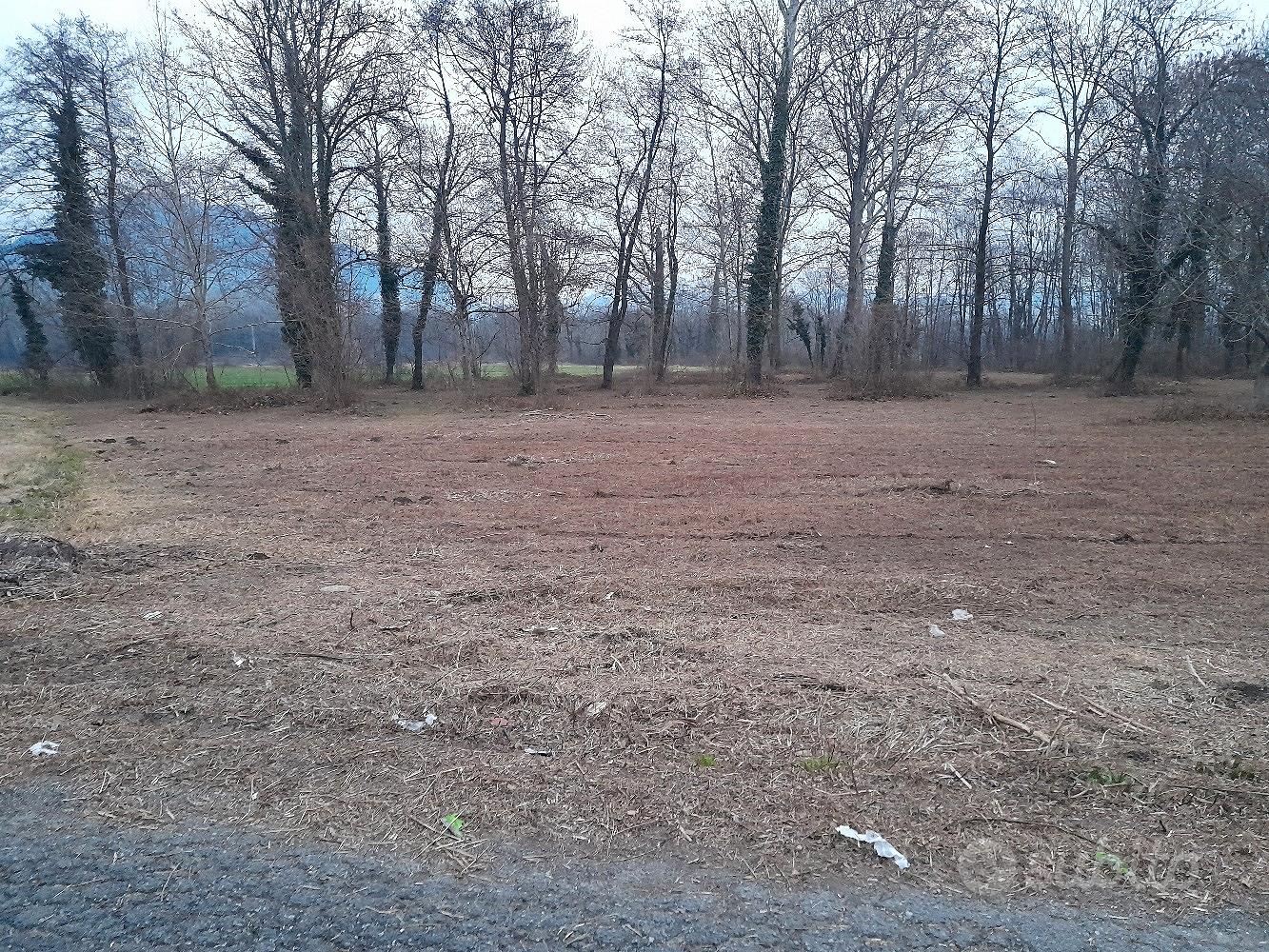 terreno agricolo - Vista 2