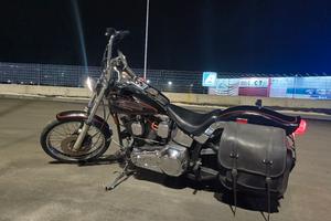 Harley Davidson Softail Custom  1340