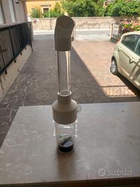 Egg per cova ciclidi