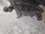 Immagine 13