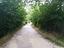 Immagine 11