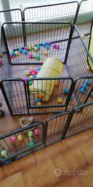 recinto per cani in ferro 