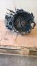 cambio-nissan-x-trail-2-2-dci-6m-4x4-anno-2004-7
