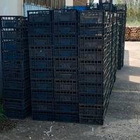 cassette di plastica