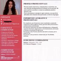 Hostess, promoter e altro