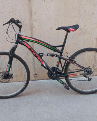 Mountain bike