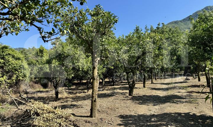 Terreno Agricolo Angri [Cod. rif 3169748VCG]